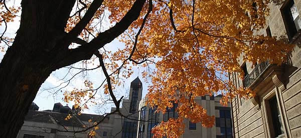 Grainger Hall on UW-Madison campus in the fall